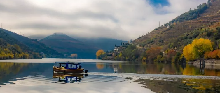 Porto–Pinhão Full Day Cruise